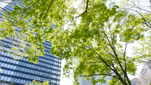 企業情報